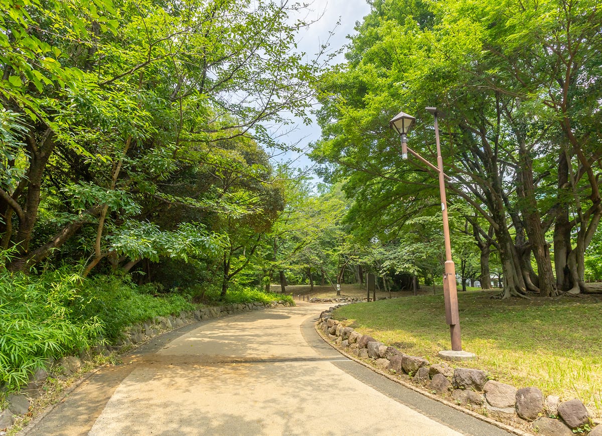中野区立江古田の森公園の写真