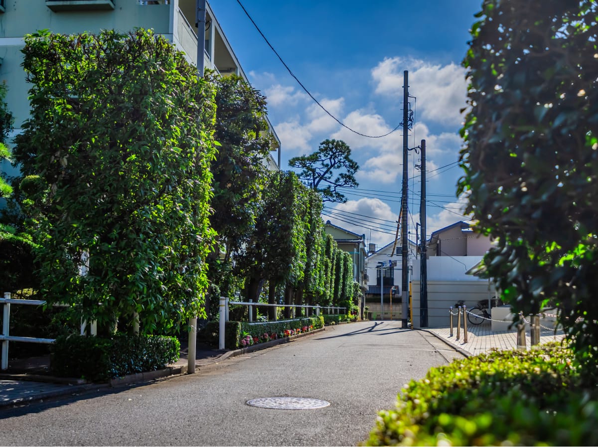 緑豊かな住宅街の街並み