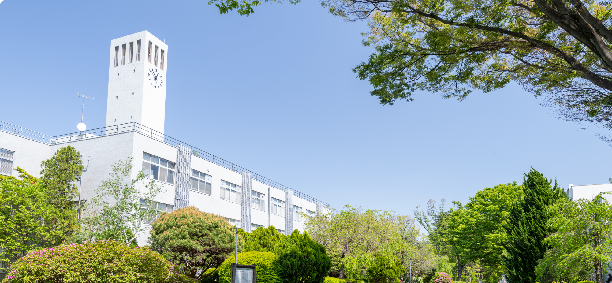 東京学芸大学 提供写真
