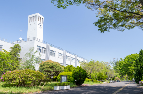 東京学芸大学 画像