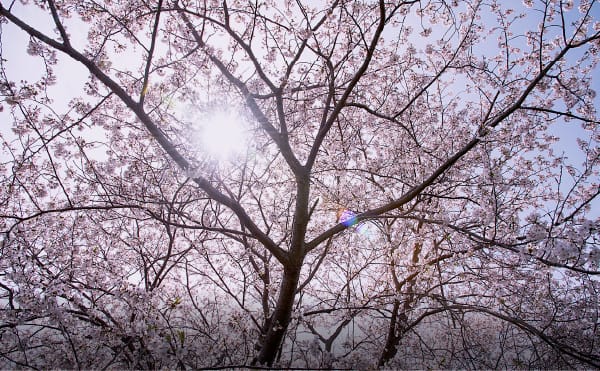 imagephoto