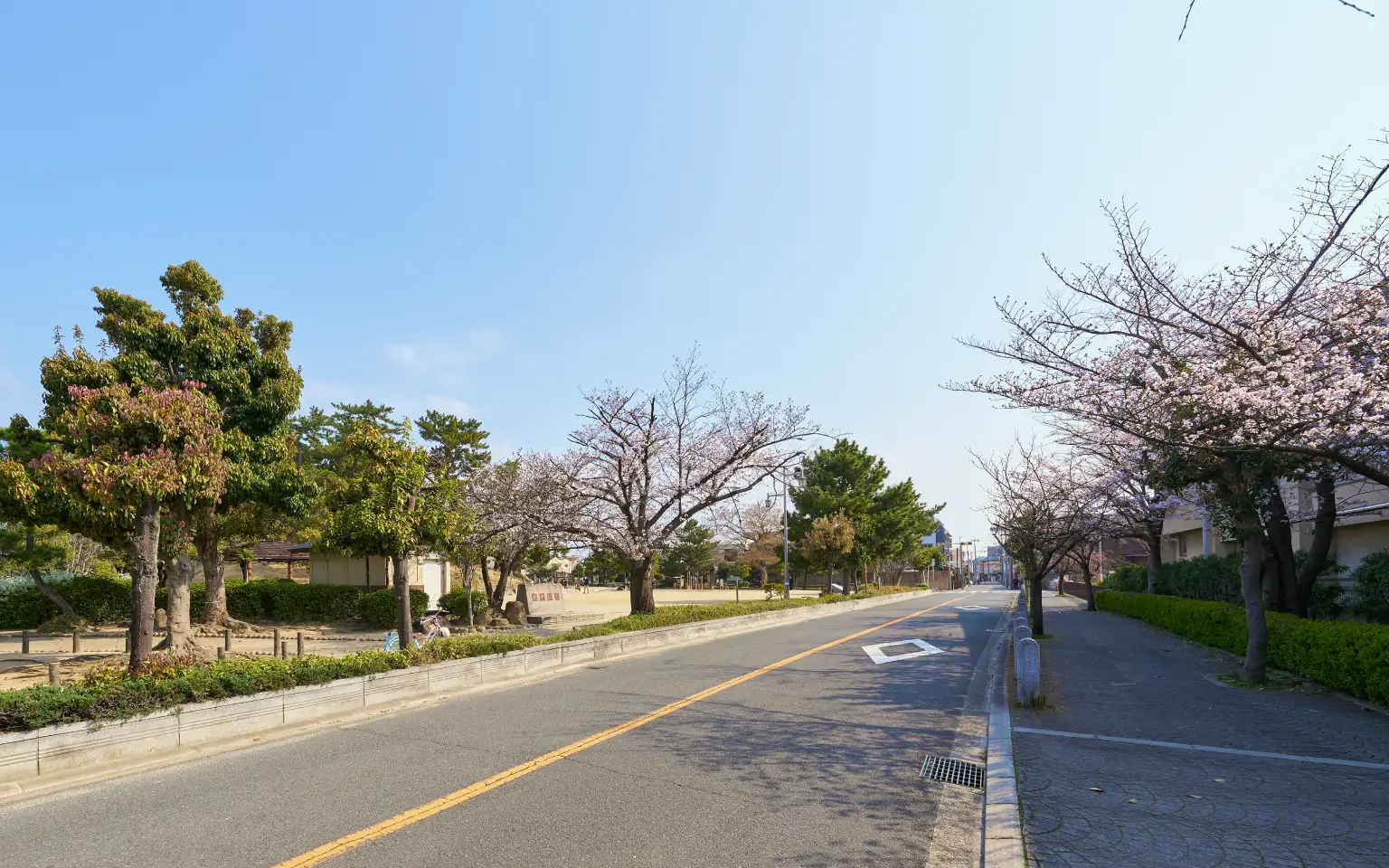 現地周辺の街並み