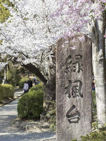 公園の画像