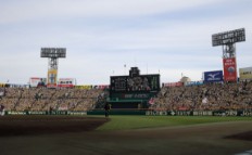 阪神甲子園球場／阪神タイガース戦の観戦