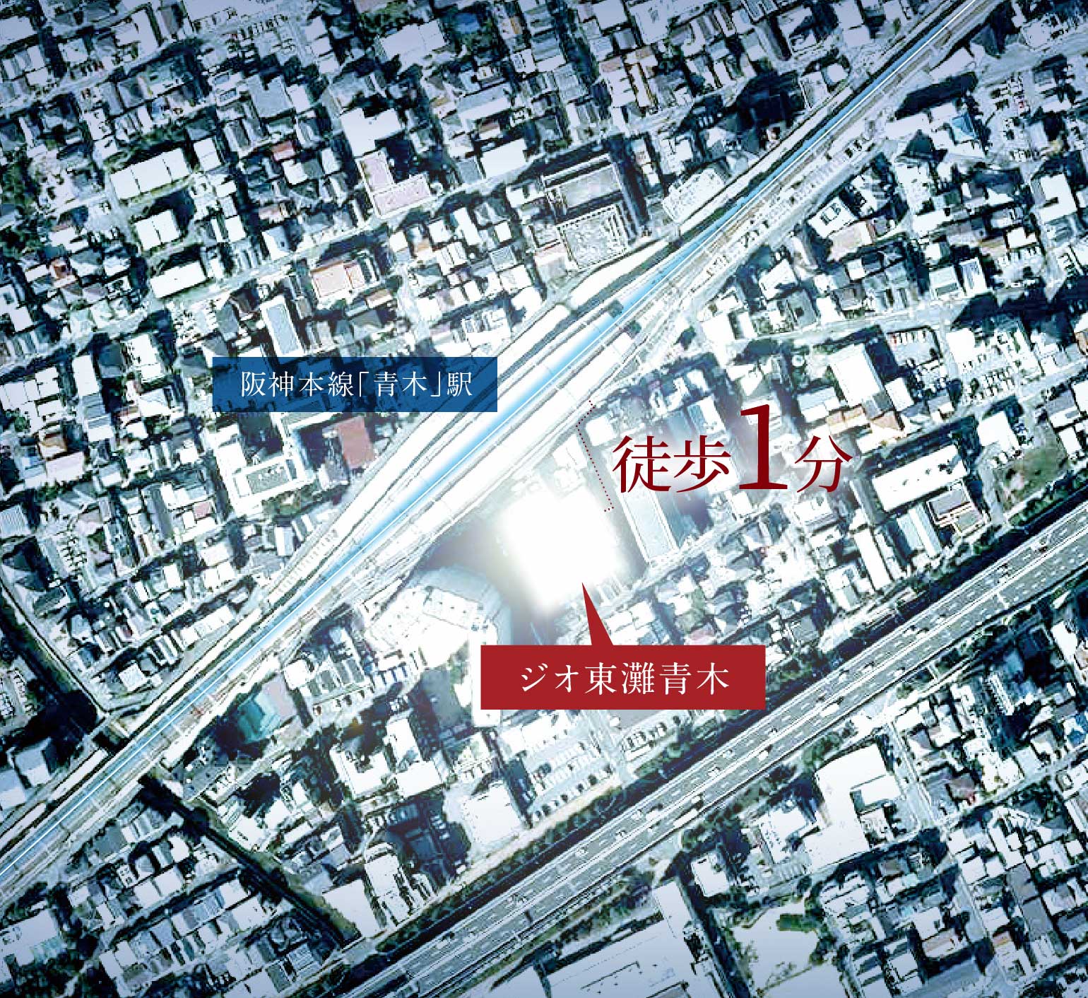 航空写真