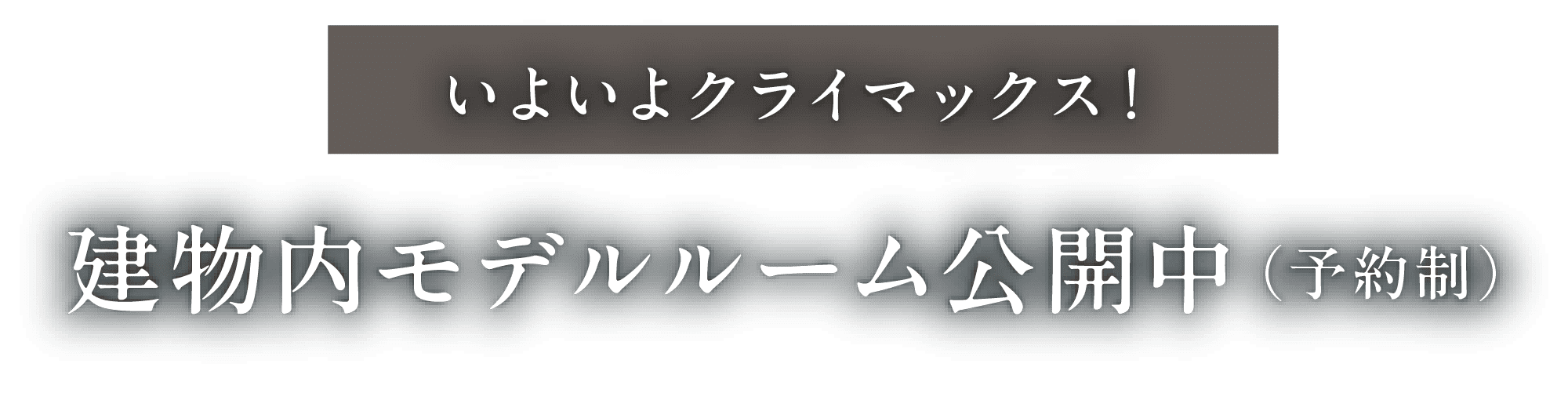 いよいよクライマックス！建物内モデルルーム公開中（予約制）
