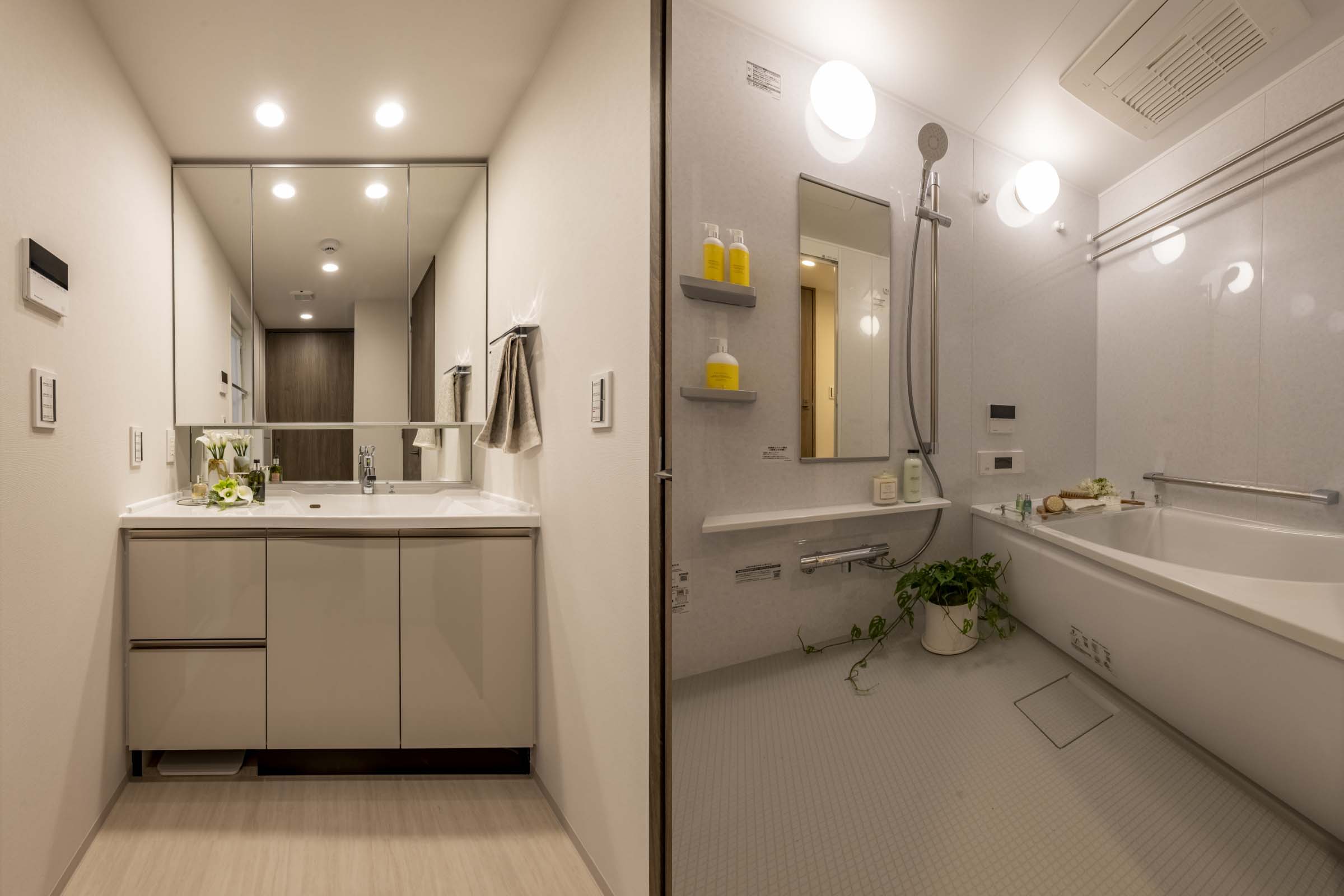 DRESSING ROOM BATHROOM