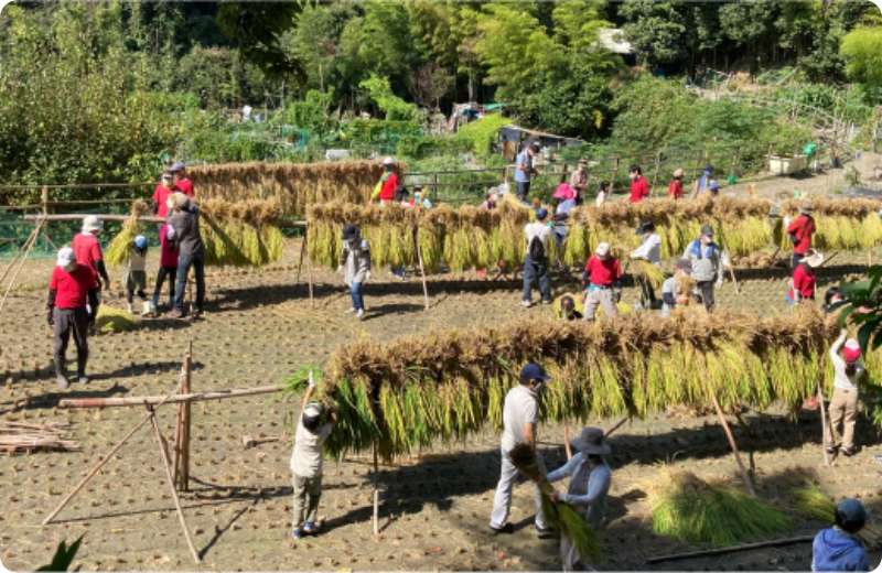 彩都棚田ファーマークラブ