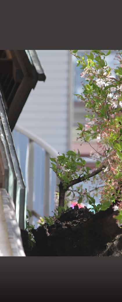 ブーランジェリー ブレ・ヴァン