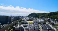 写真を見る