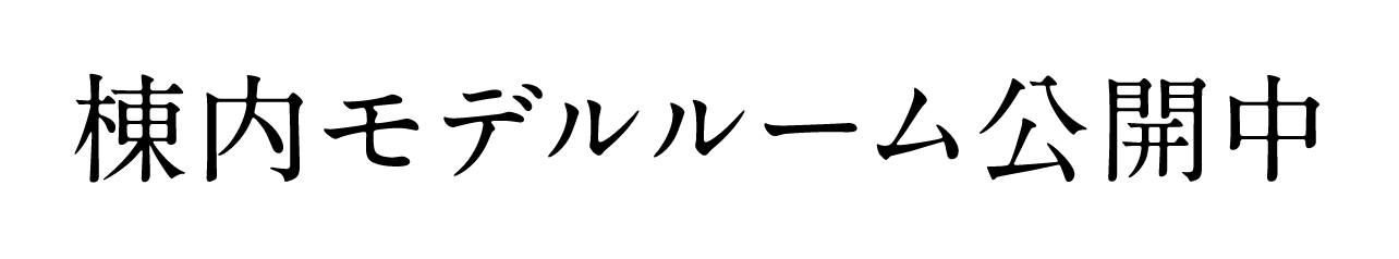 棟内モデルルーム公開中