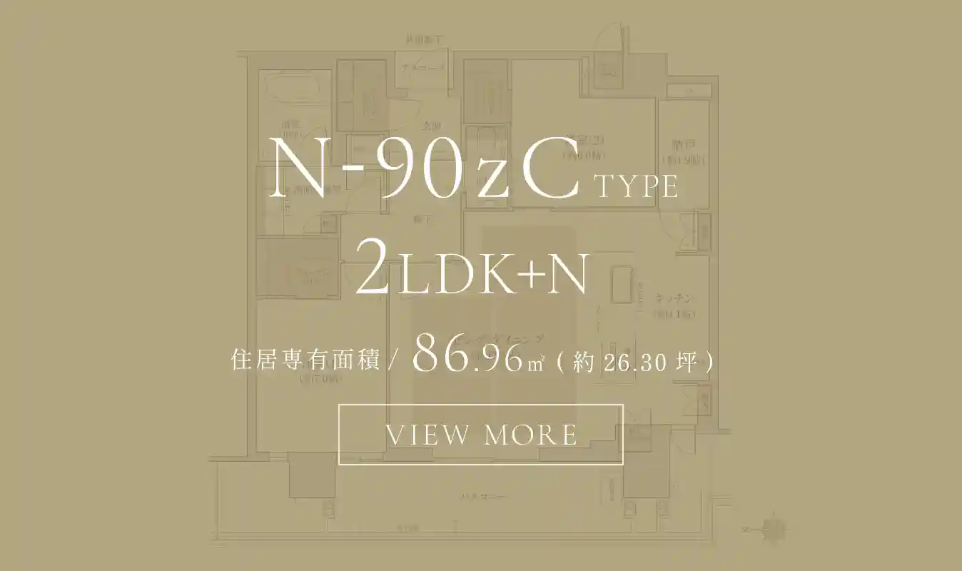N-90zCTYPE