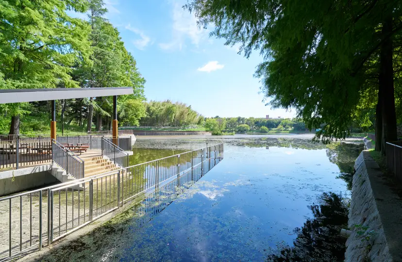桃山公園