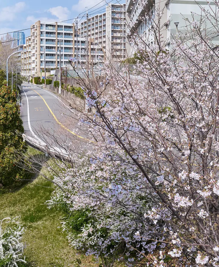 現地付近の街並
