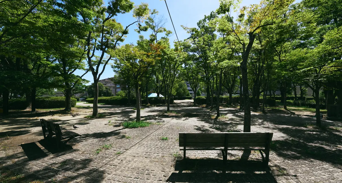 竹見公園の園路とベンチ