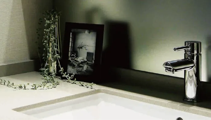 Powder Room image photo