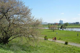 多摩川遊園