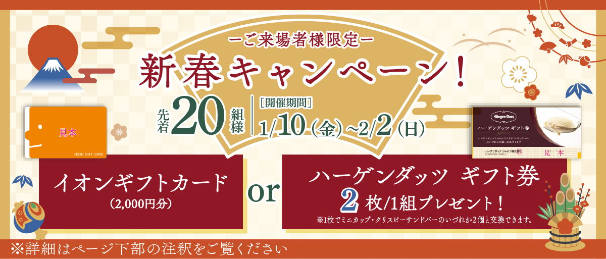 ご来場者様限定新春キャンペーン　イオン商品券、またはハーゲンダッツギフト券をプレゼント　詳細はページ下部の注釈をご覧ください。