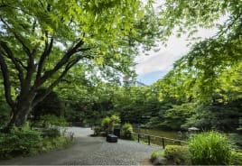 横浜公園