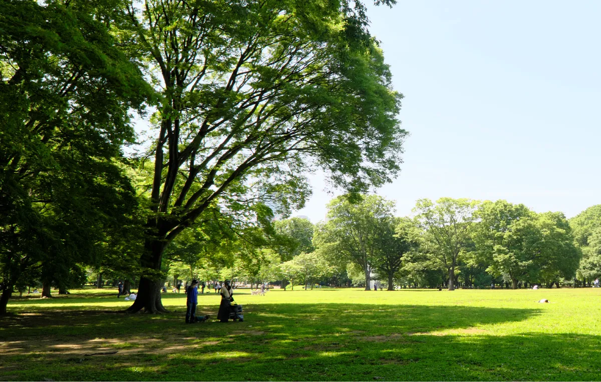 代々木公園
