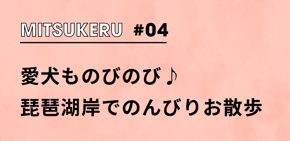 【MITSUKERU+ #04】愛犬ものびのび♪琵琶湖岸でのんびりお散歩