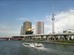 東京水辺ライン
浅草（二天門）、桜橋（隅田公園内）に発着所があり、気軽にクルーズが楽しめる。ナイトクルーズやお花見クルーズ、イルミネーションクルーズといったイベント便もいろいろ。