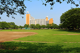 遊水地や芝生広場などがある「新小岩公園」