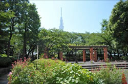 「区立隅田公園」は、散策スポットに好適。東京スカイツリーも間近に望める。