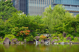 池のある日本庭園と芝生広場が心地よい「檜町公園」