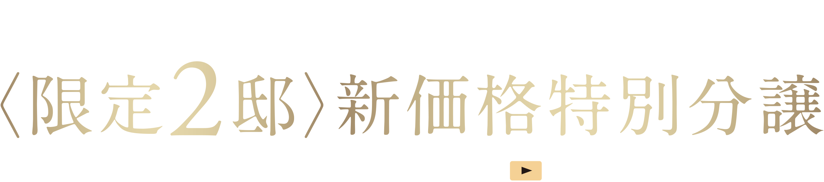 ジオ八事春山〈限定2邸〉新価格特別分譲