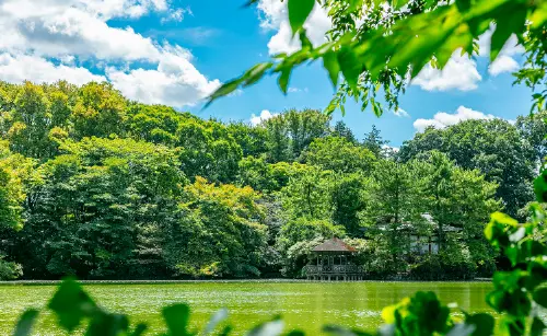石神井公園（約2.1km）
