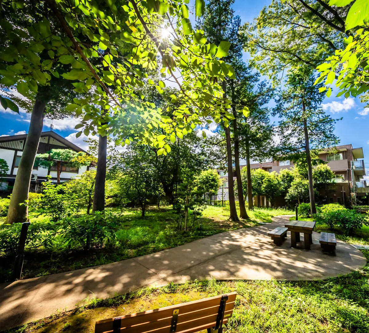 深沢こもれび緑地
