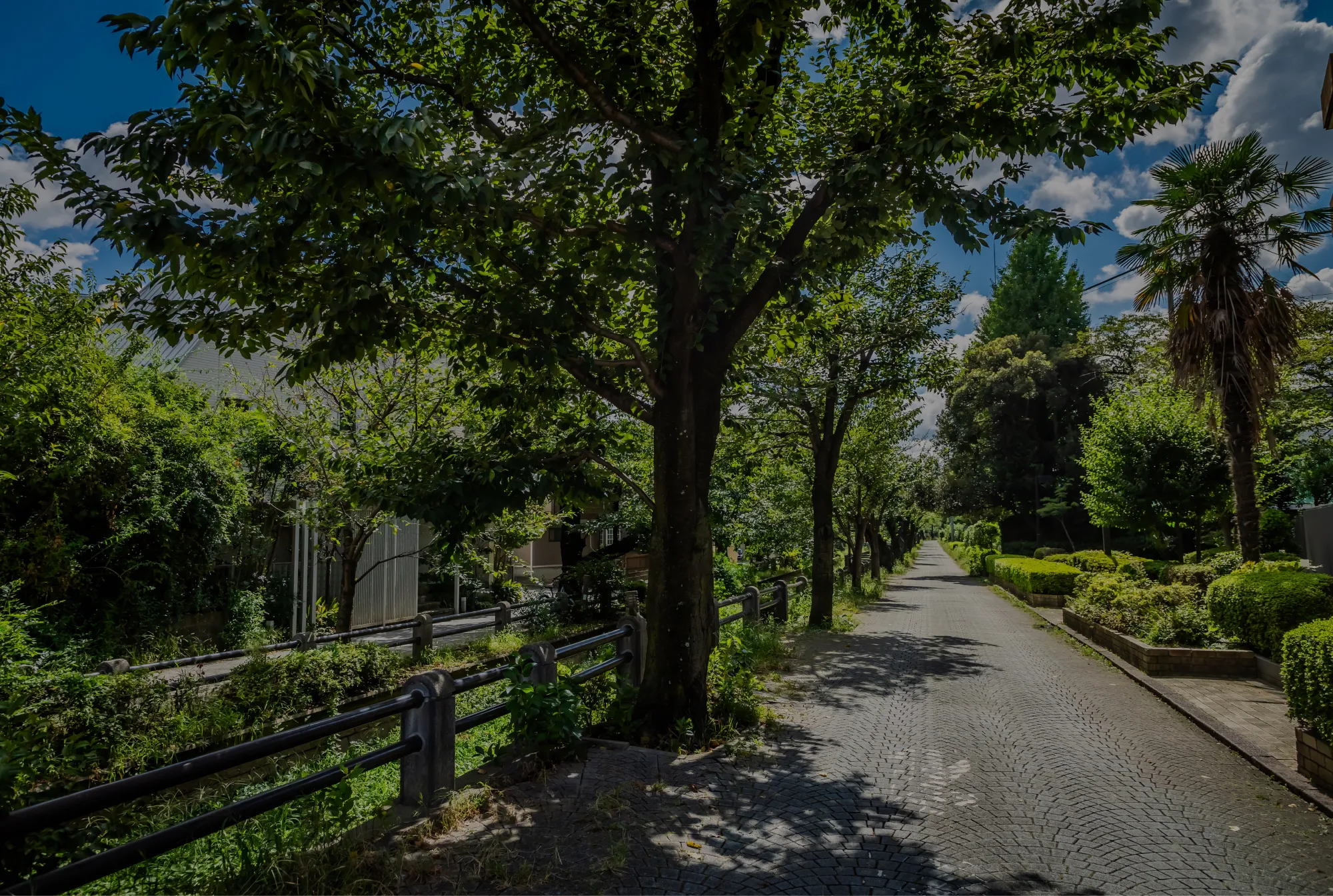 現地周辺の街並み（徒歩4分・約280m）