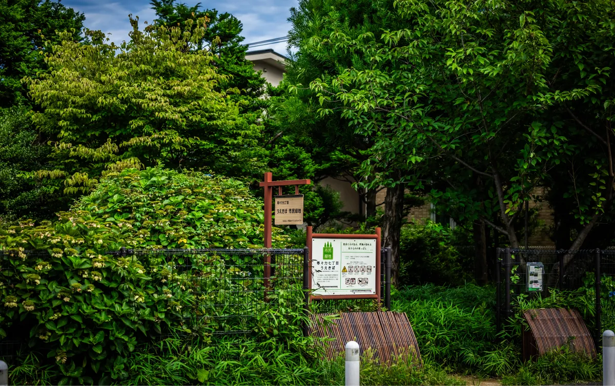 等々力七丁目うえきば市民緑地