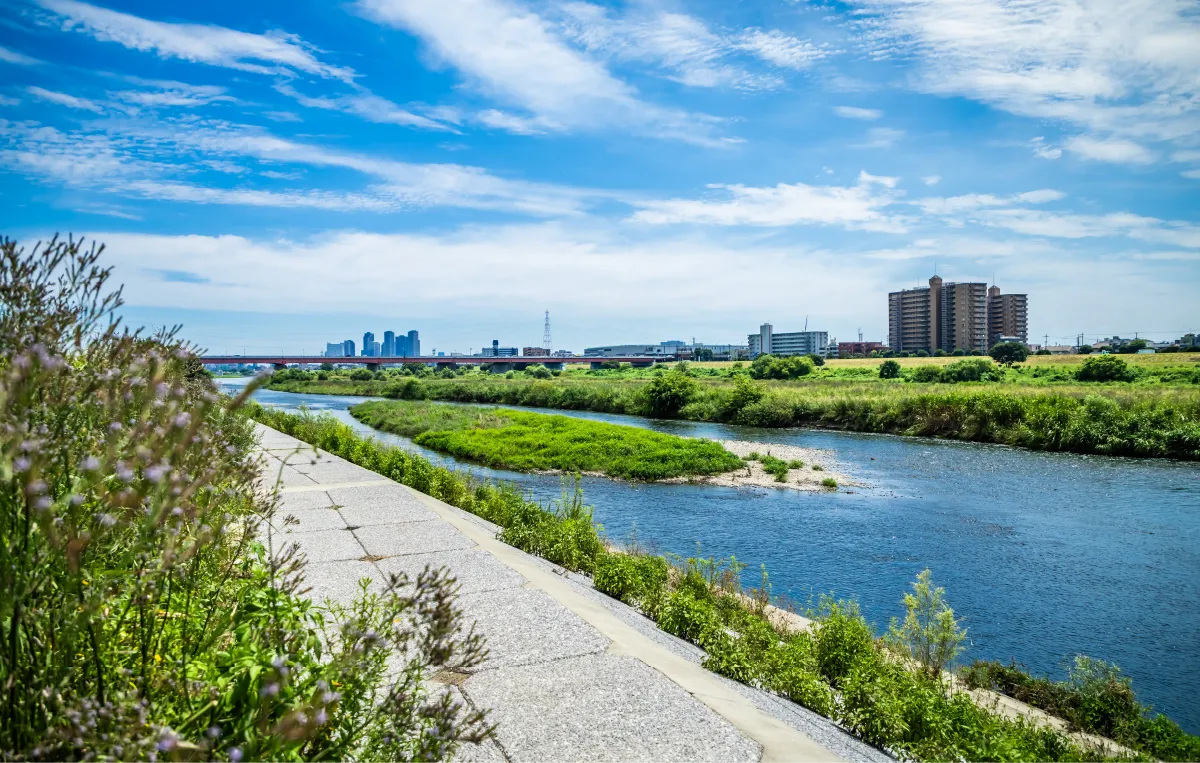 多摩川河川敷