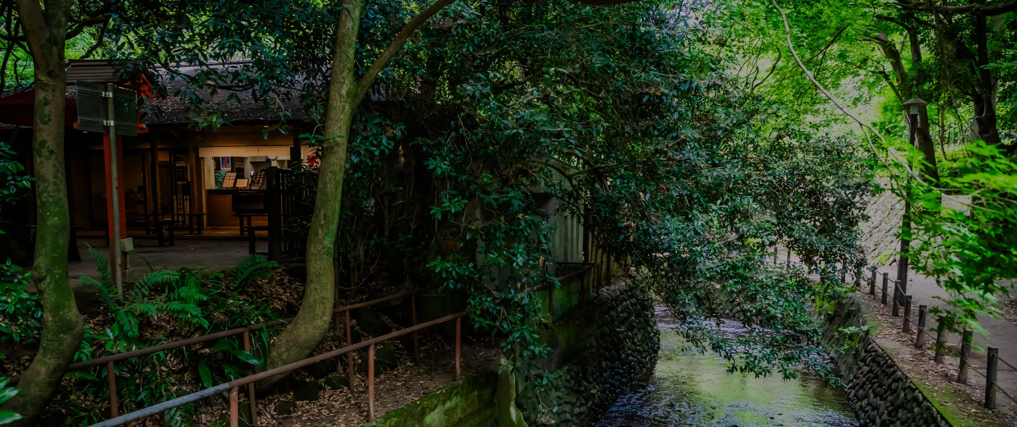 等々力渓谷公園