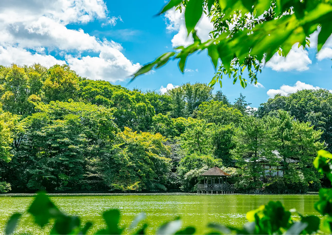 石神井公園（約2.1km）