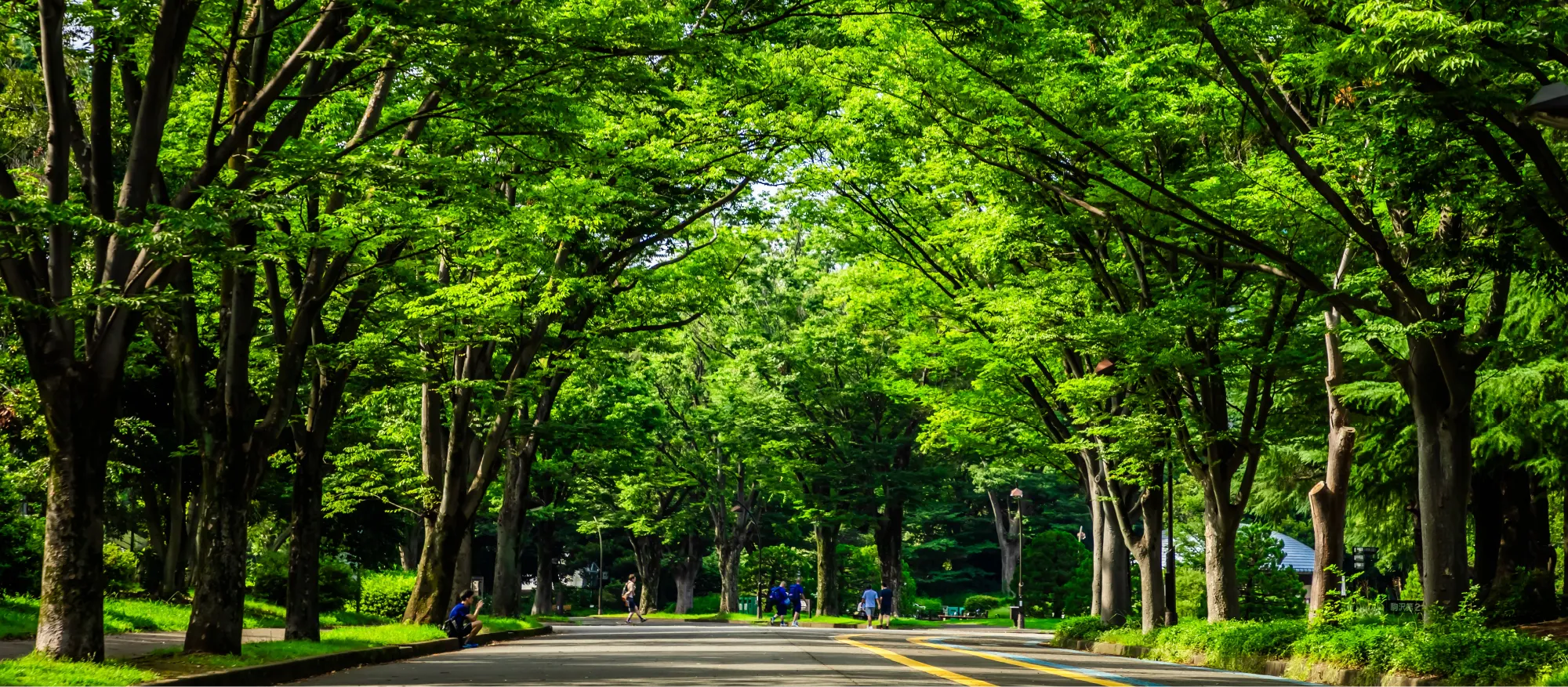 駒沢オリンピック公園（徒歩11分・約880m）