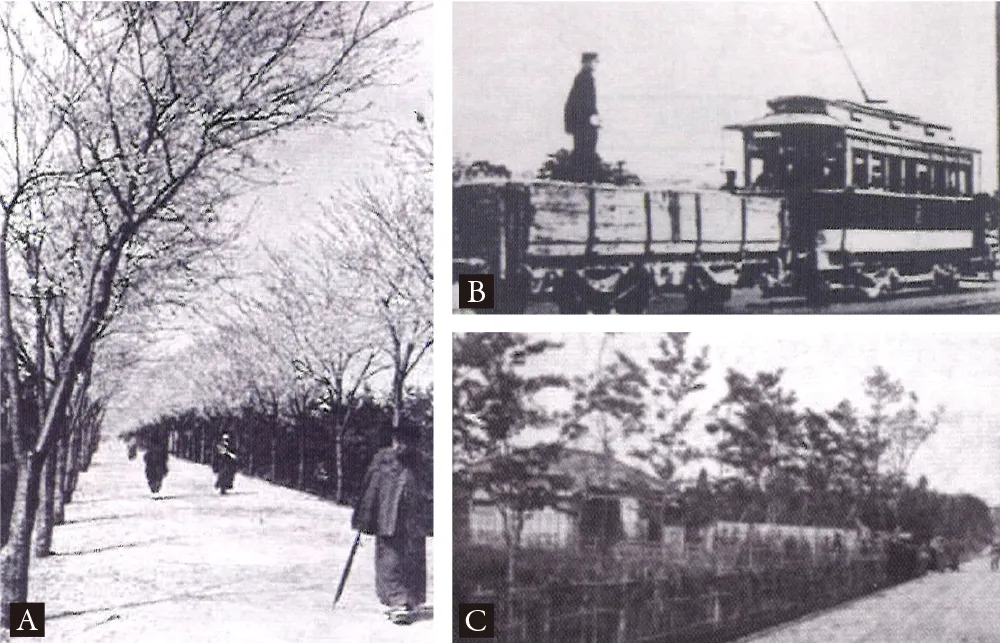 A.東大通りの桜並木（大正中期） / B.開通当時の玉電 / C.支線道路に面した住宅と生垣