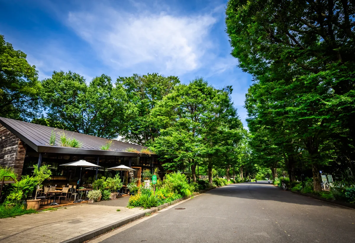 駒沢オリンピック公園