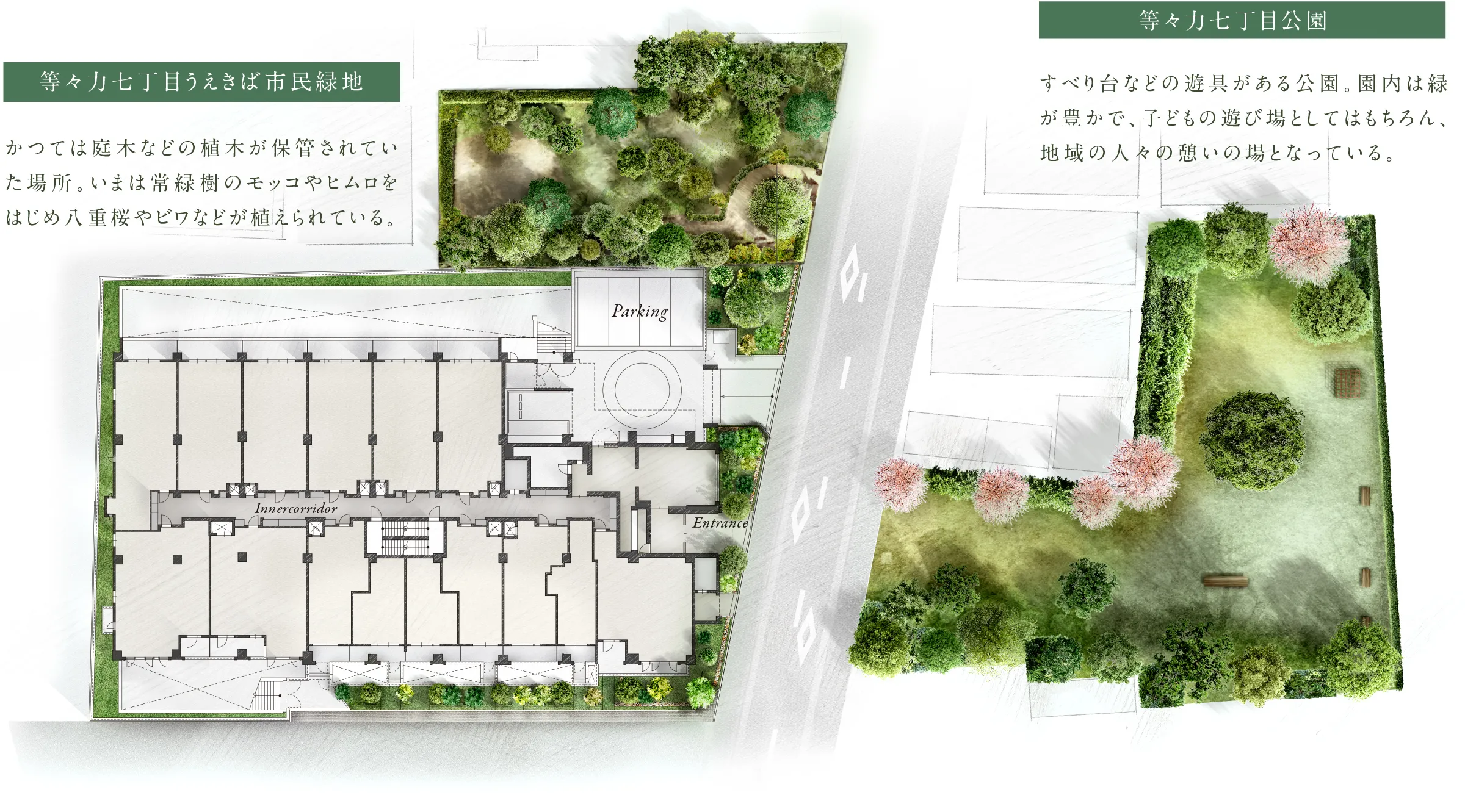 敷地配置イメージイラスト