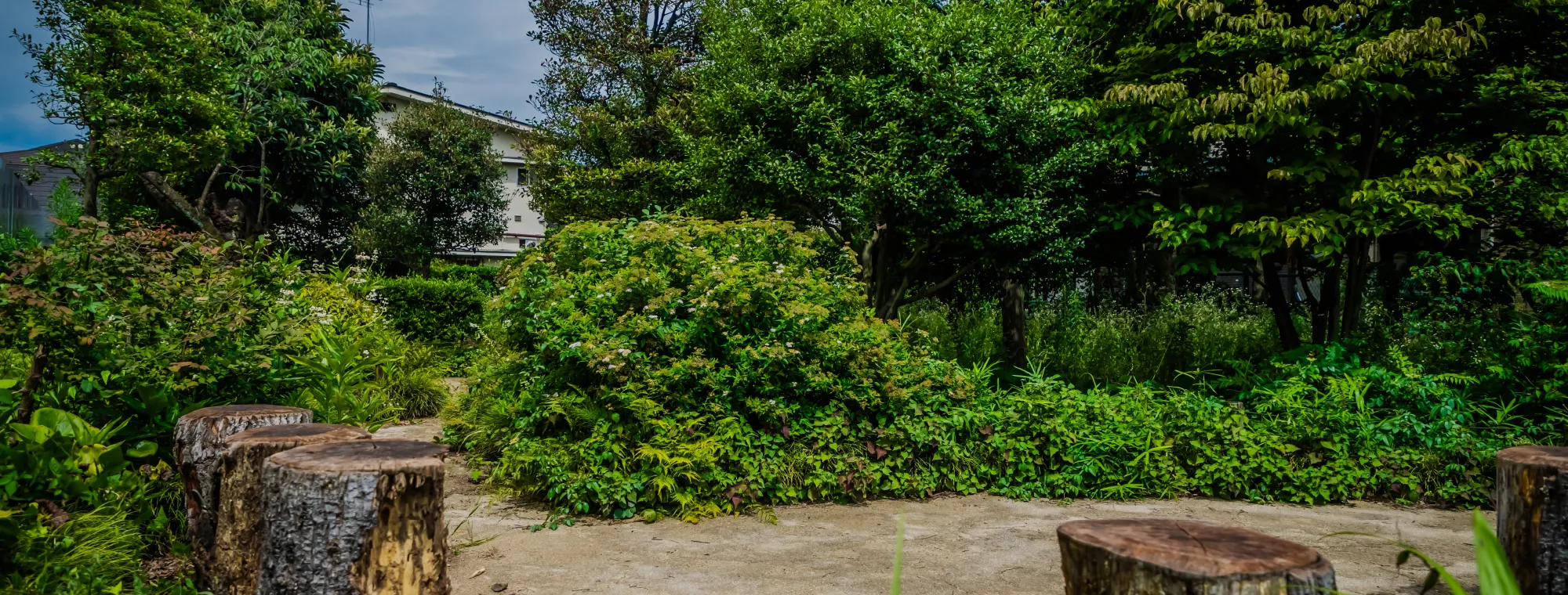 等々力七丁目うえきば市民緑地